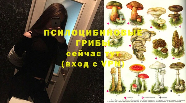 кокс Армянск