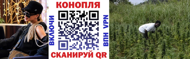 ссылка на мегу рабочий сайт  Таштагол  Марихуана семена 